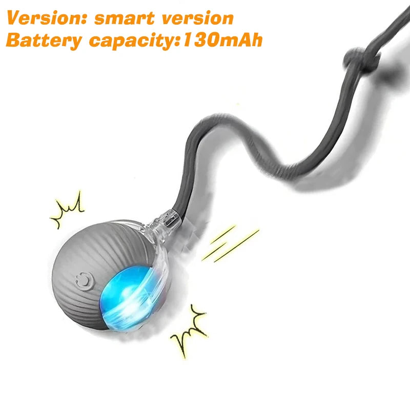 Smart Interactive Rolling Ball for Cats & Dog