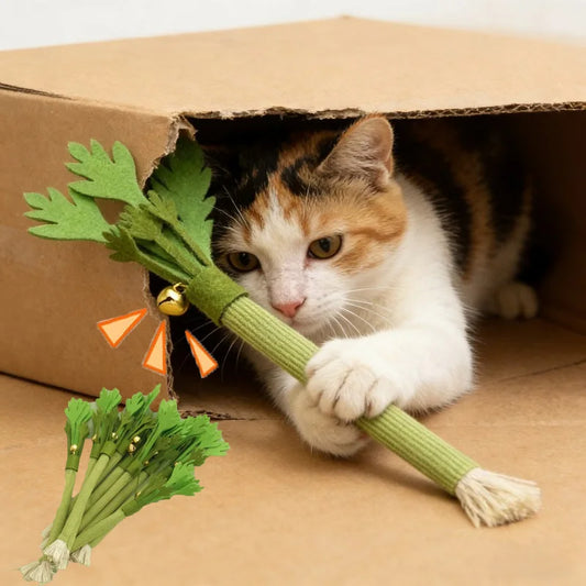 PETNEST™ Catnip Molar Stick Cat Chew Toy