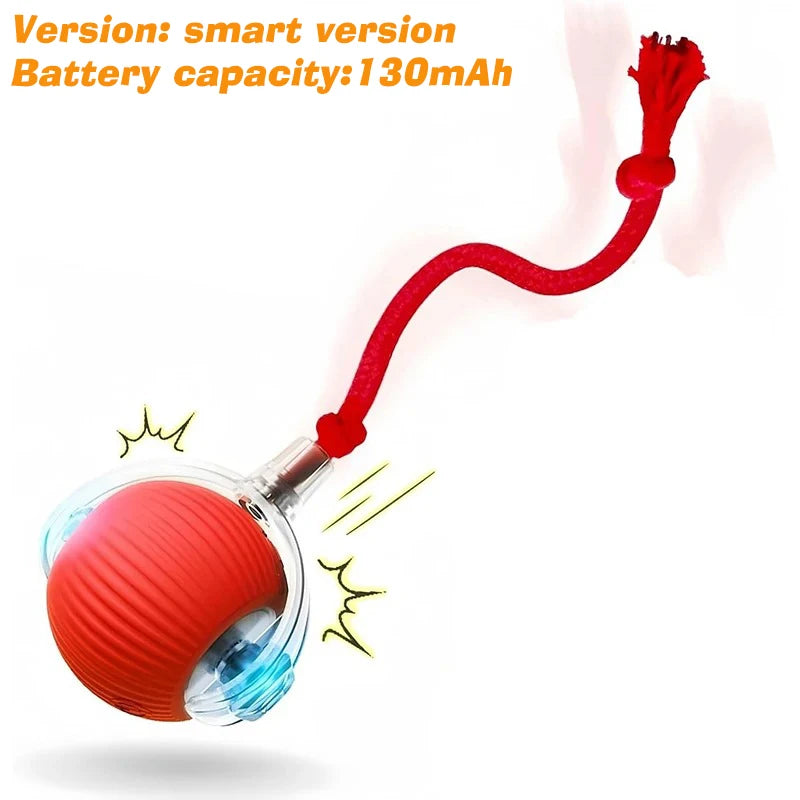 Smart Interactive Rolling Ball for Cats & Dog
