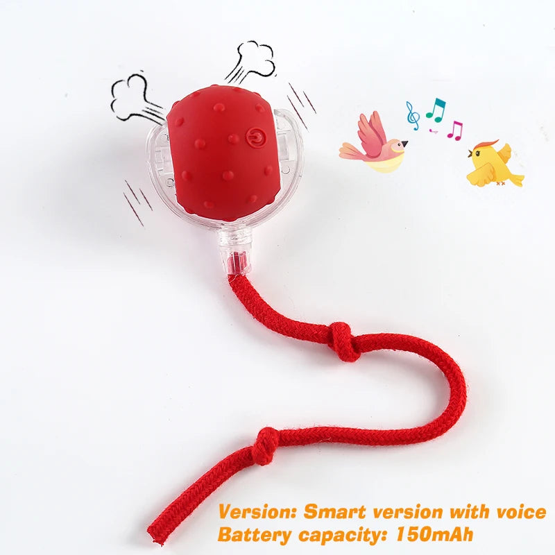 Smart Interactive Rolling Ball for Cats & Dog