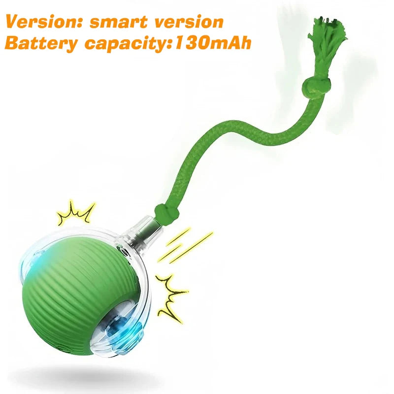 Smart Interactive Rolling Ball for Cats & Dog